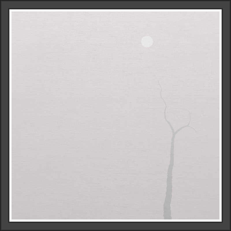 The Foggy Trees #11