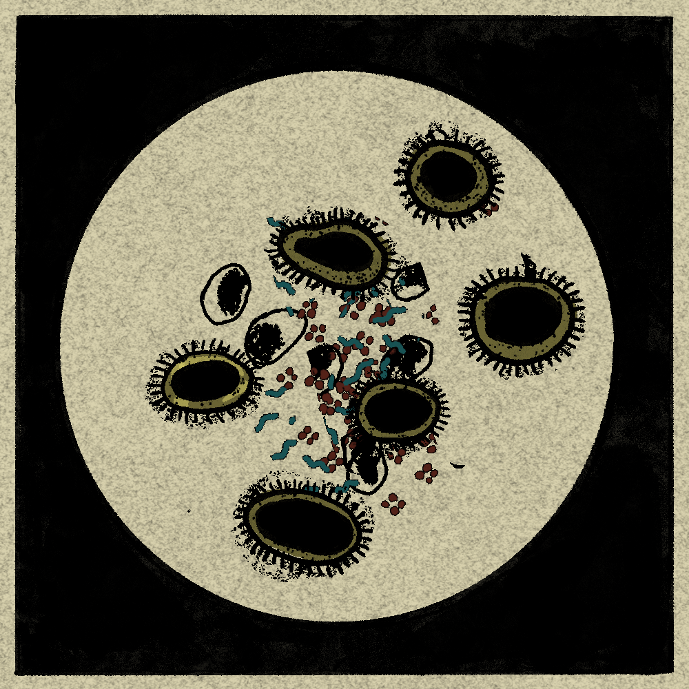 Microbes #206