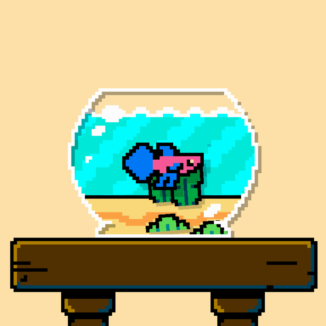 betta fish #179