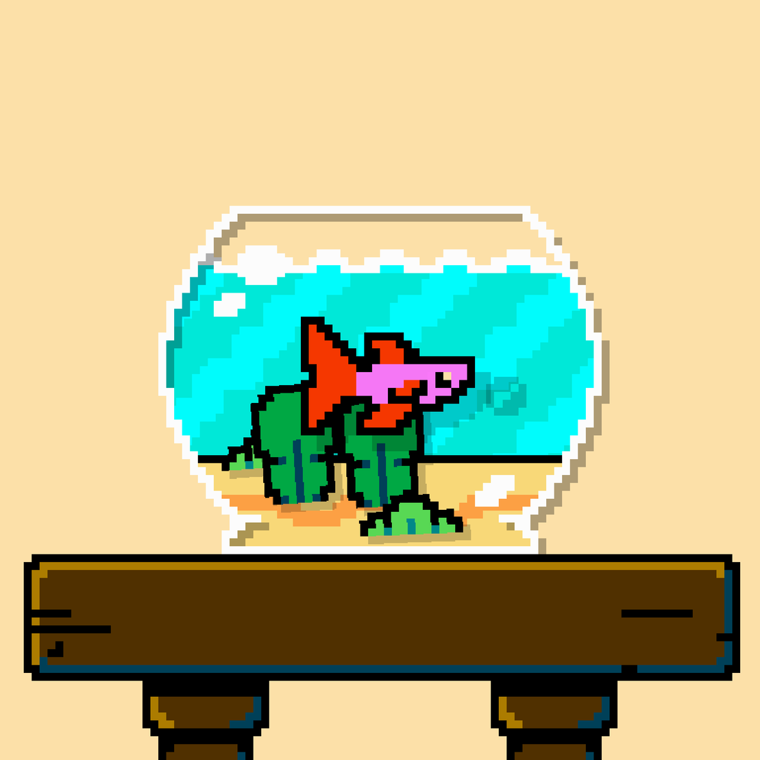 betta fish #700