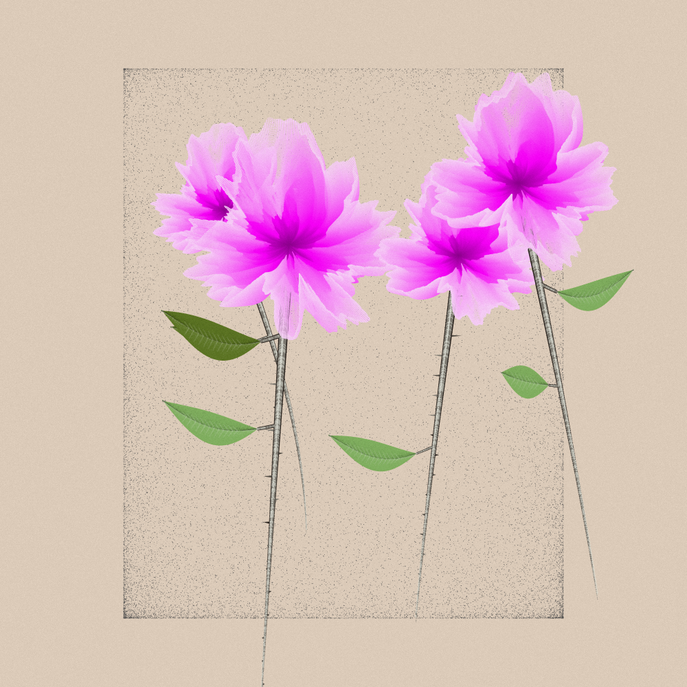Magnolia #82