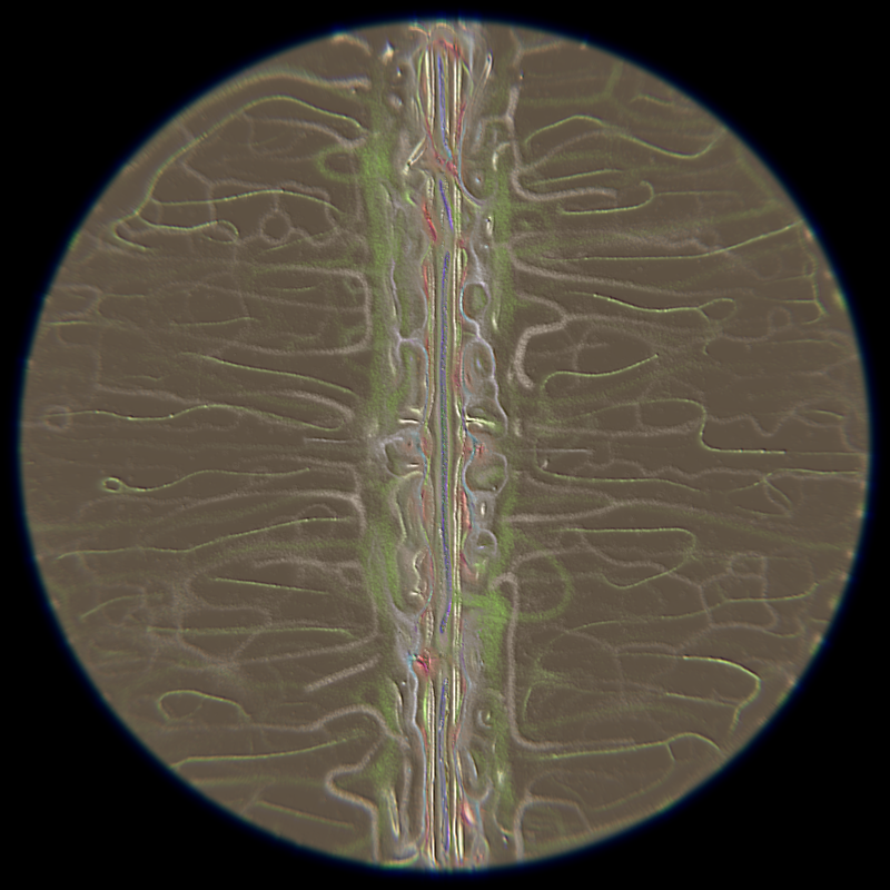 Ethereal Microcosm #97