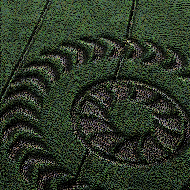 Crop Circles #11