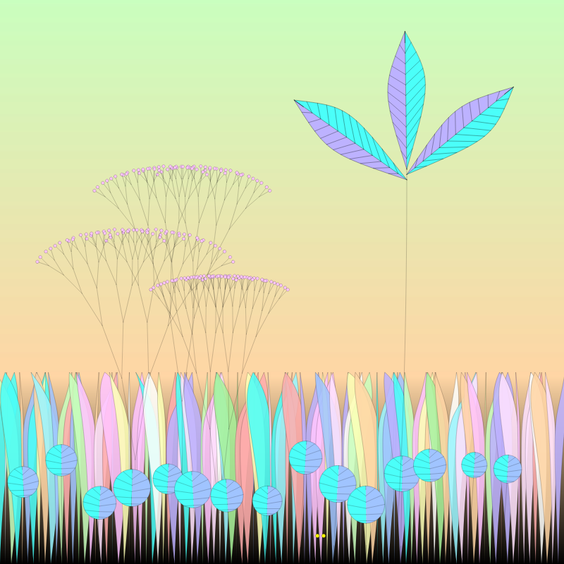Naïve #9