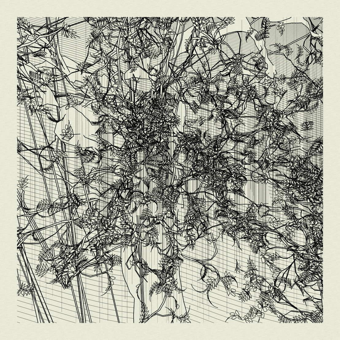 A Bugged Forest #399