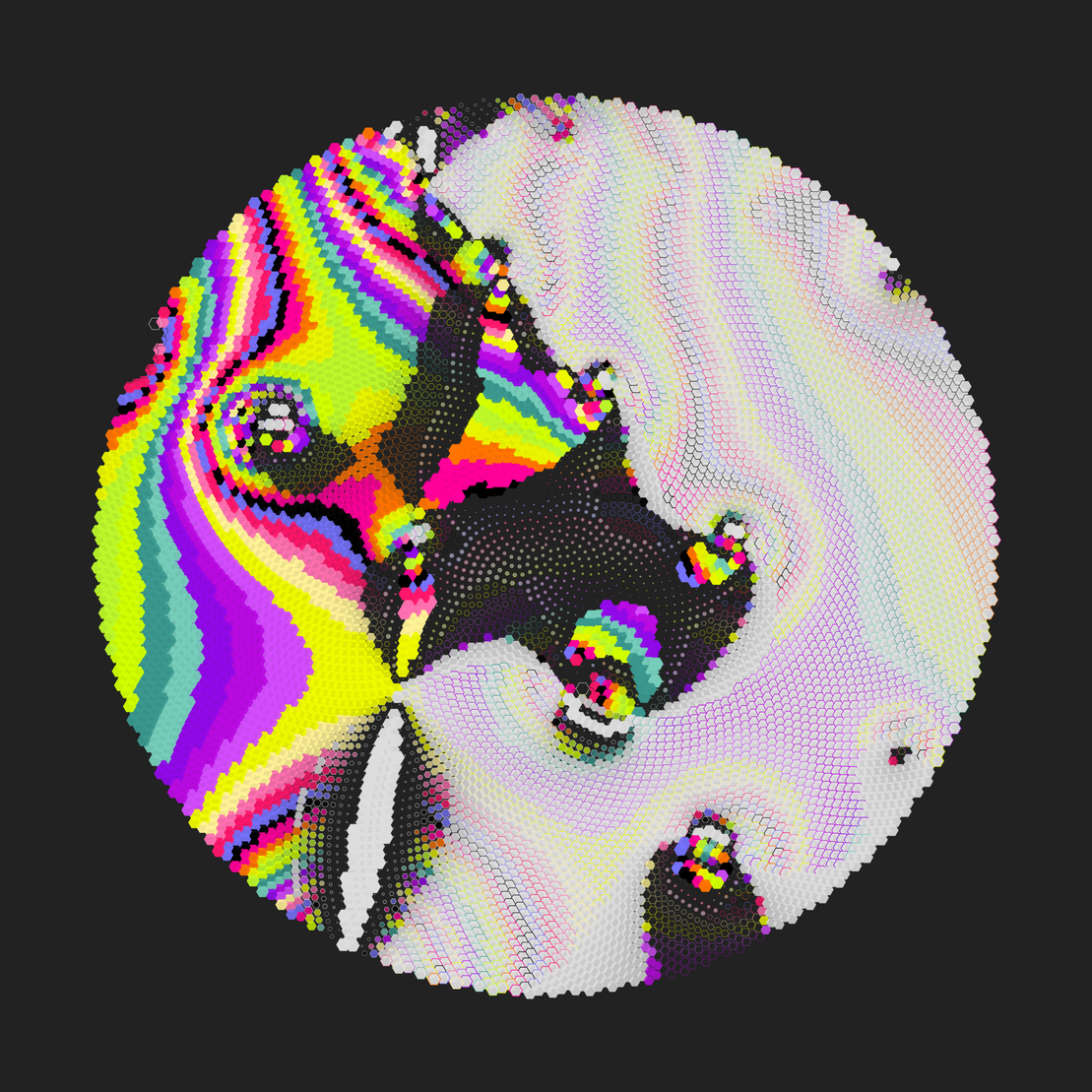 Still C #26724