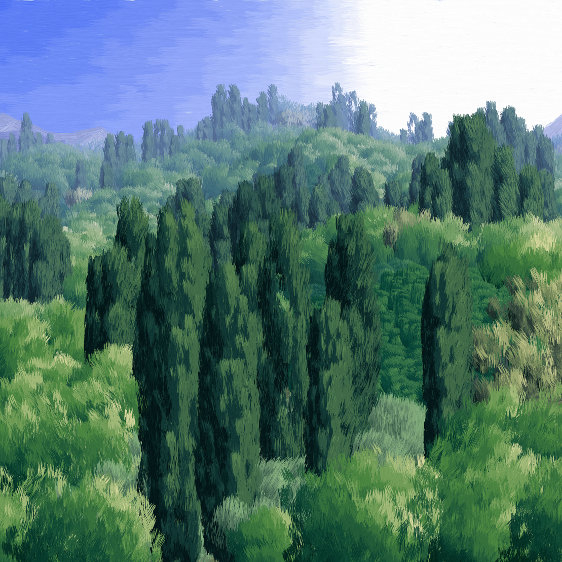 Provence #226