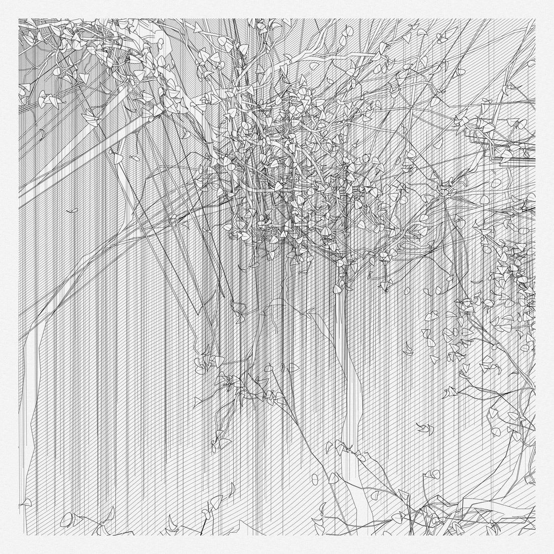 A Bugged Forest #805