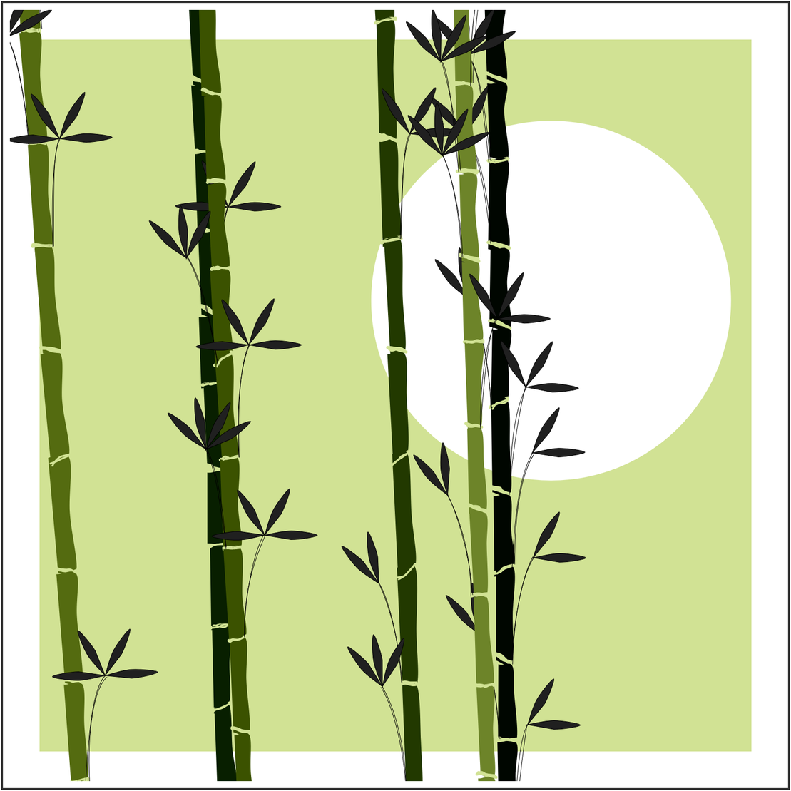 Bamboo and Beyond #25