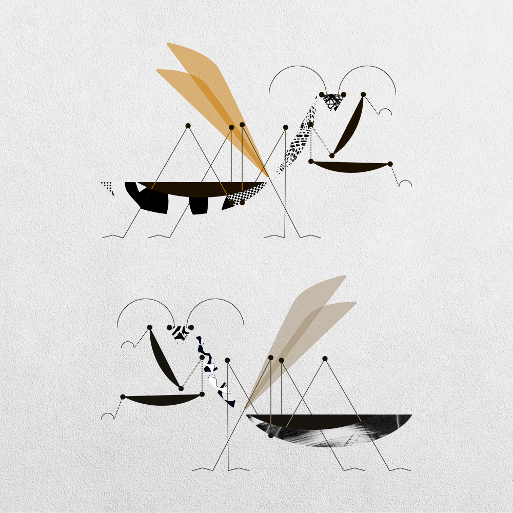 Mantis Abstraction #13