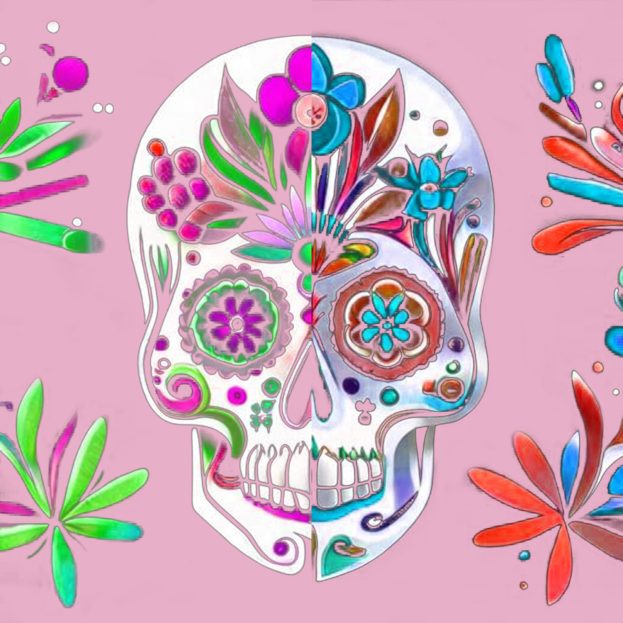 The skulls in love #1