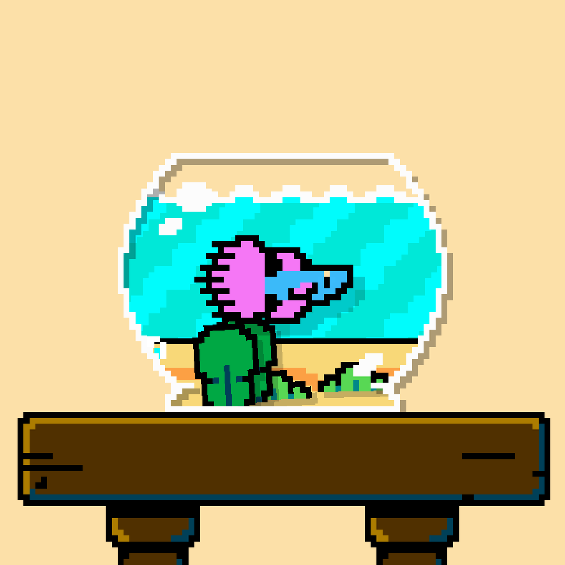 betta fish #409