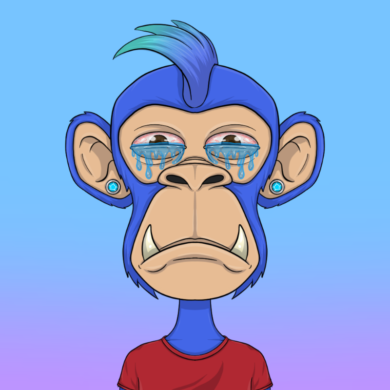 chimpantez #894