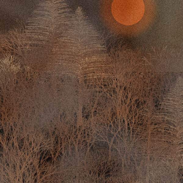 Moonlit Native Bush #41