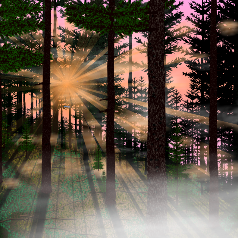 Forest Sunrise #35