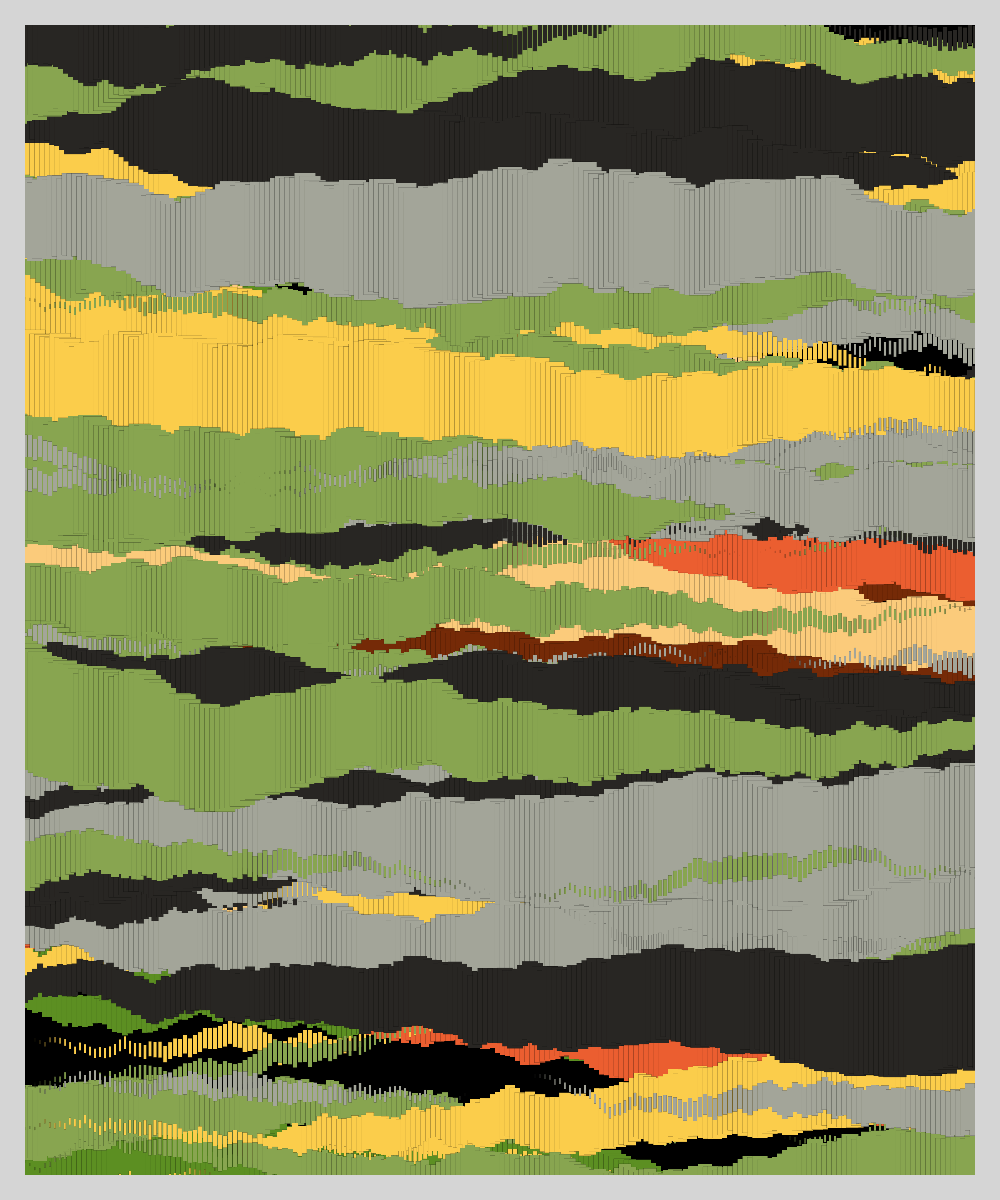 Camouflage #48