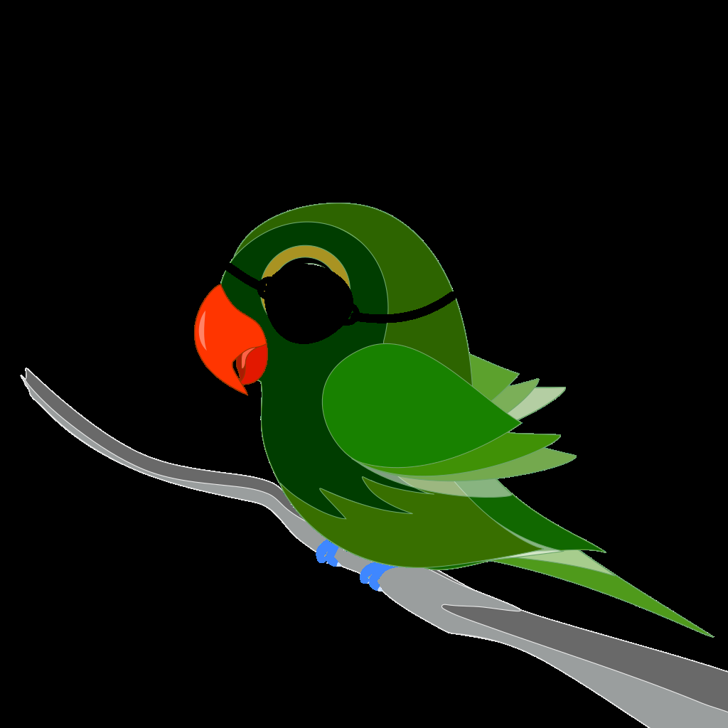 Parrot #40