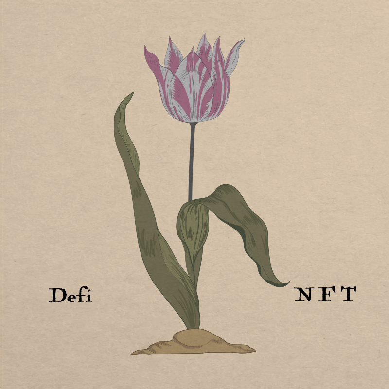 Tulip Fever #2