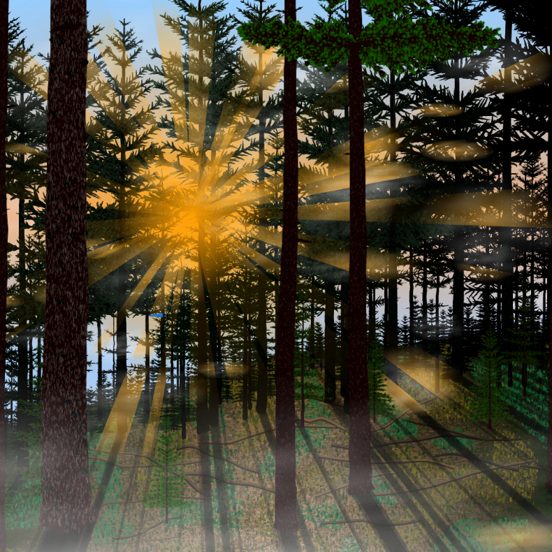 Forest Sunrise #34