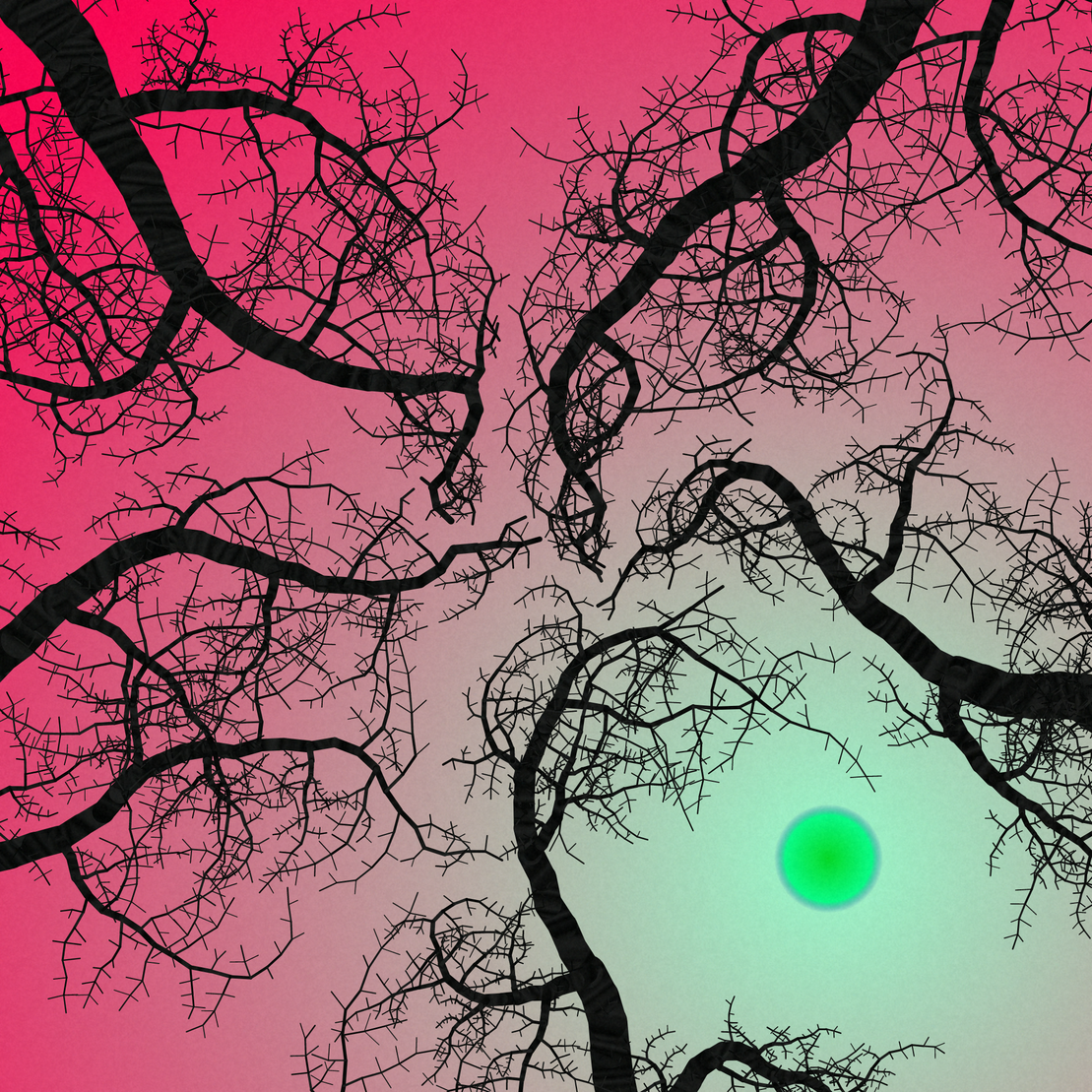 Tree Skyness #237