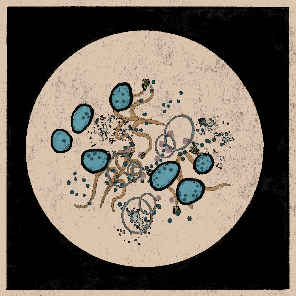 Microbes #160