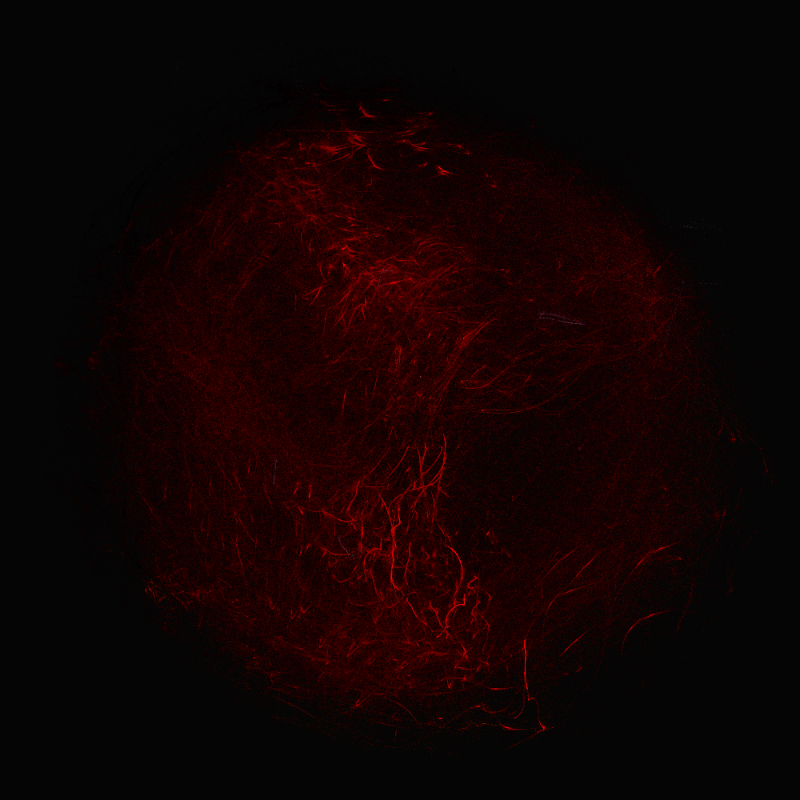 balls in vector fields #28