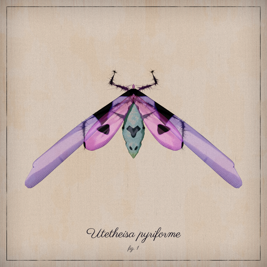 ProcGen Entomology #75