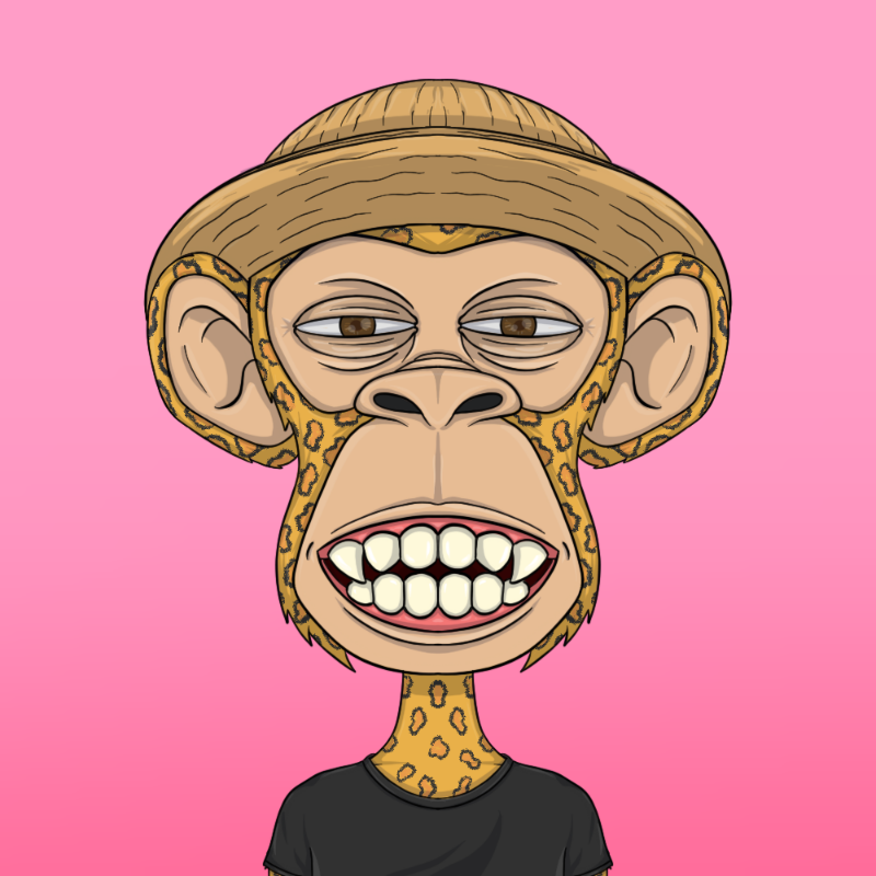 chimpantez #892