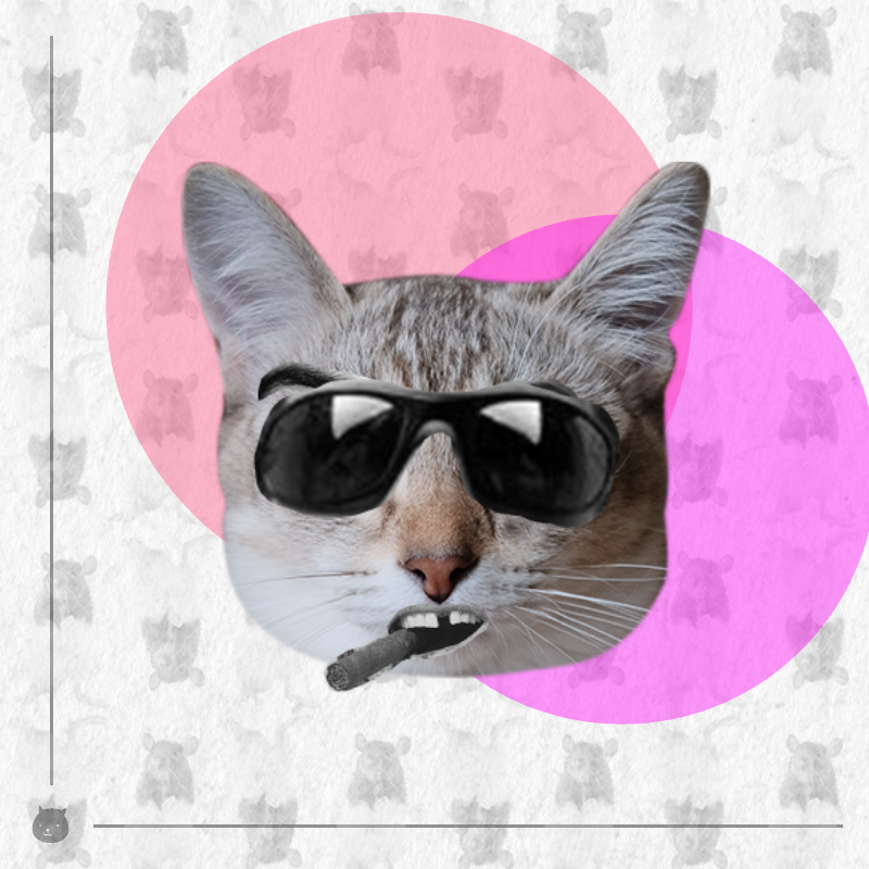 Kittenstein #22