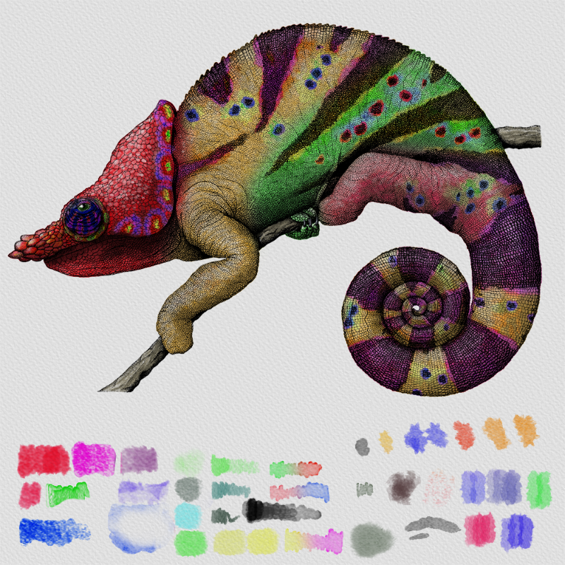 Colorful Cameleon #24