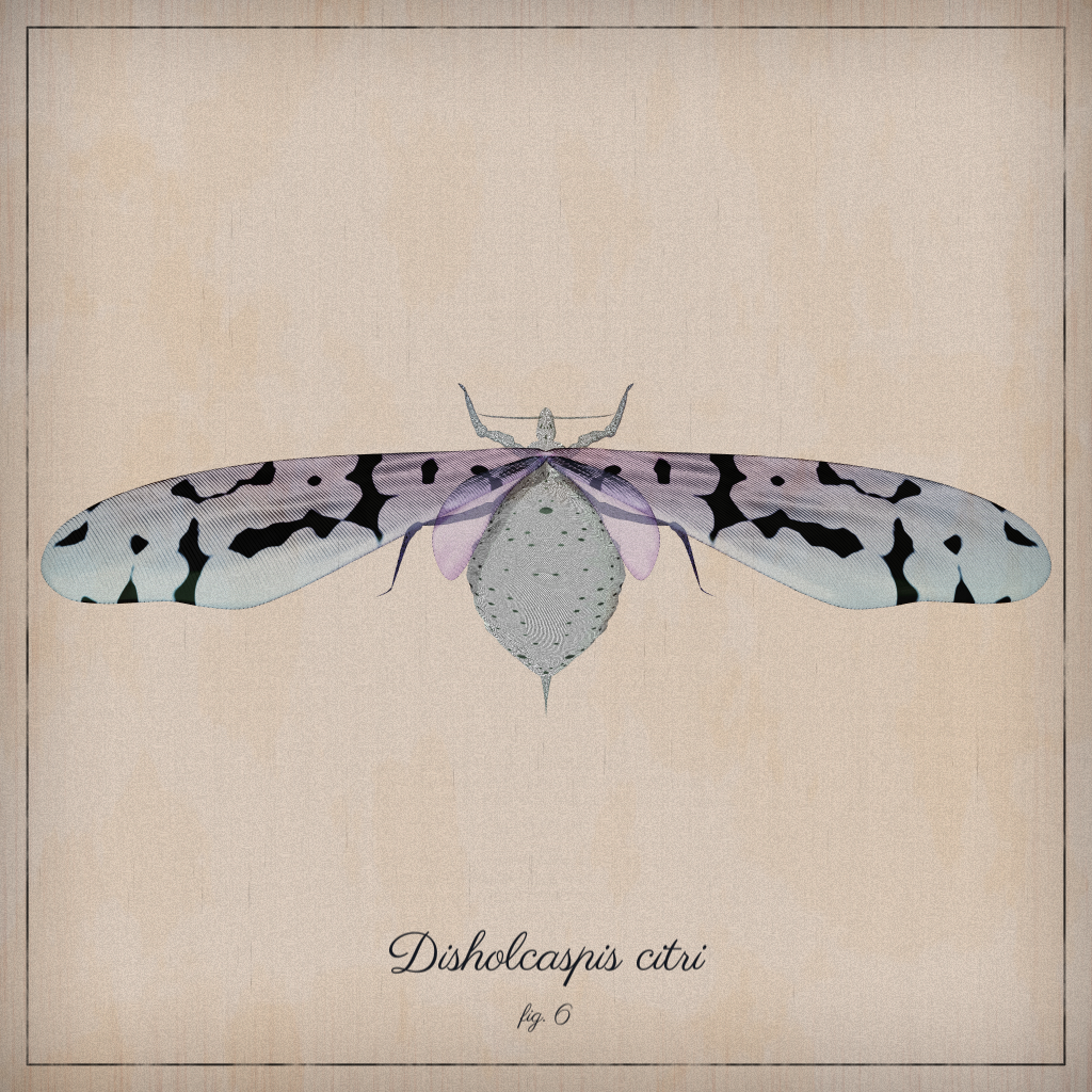 ProcGen Entomology #206