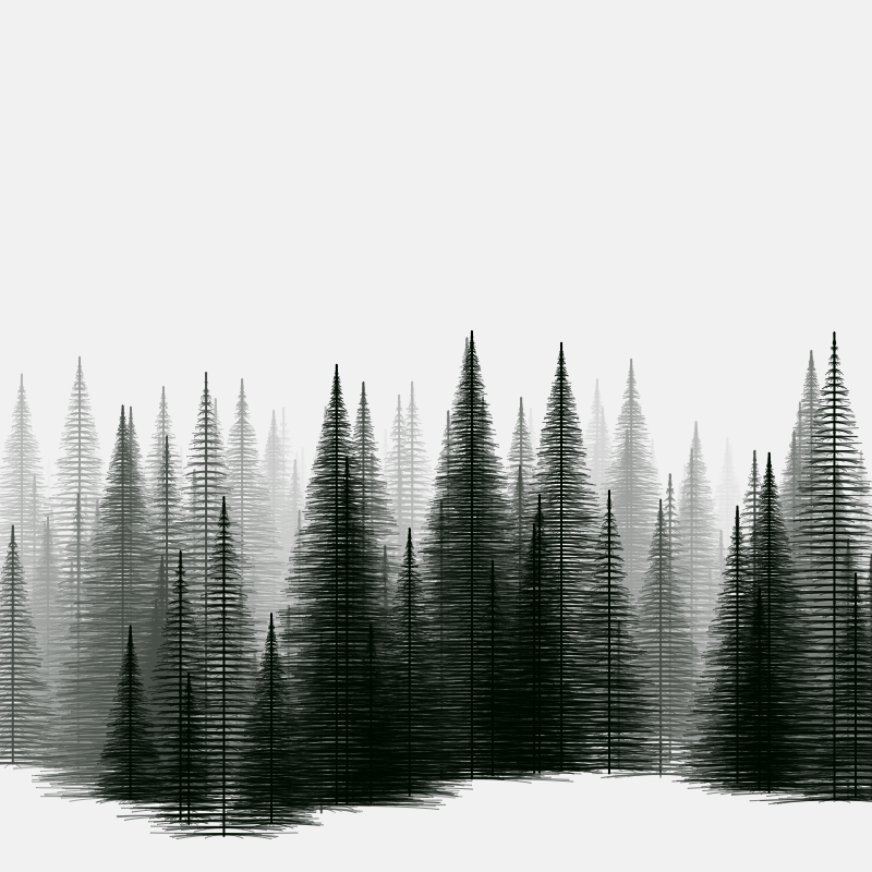 Pine trees in the cold #4