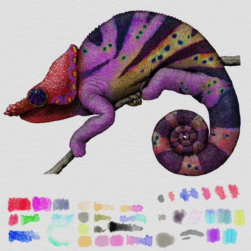 Colorful Cameleon #27