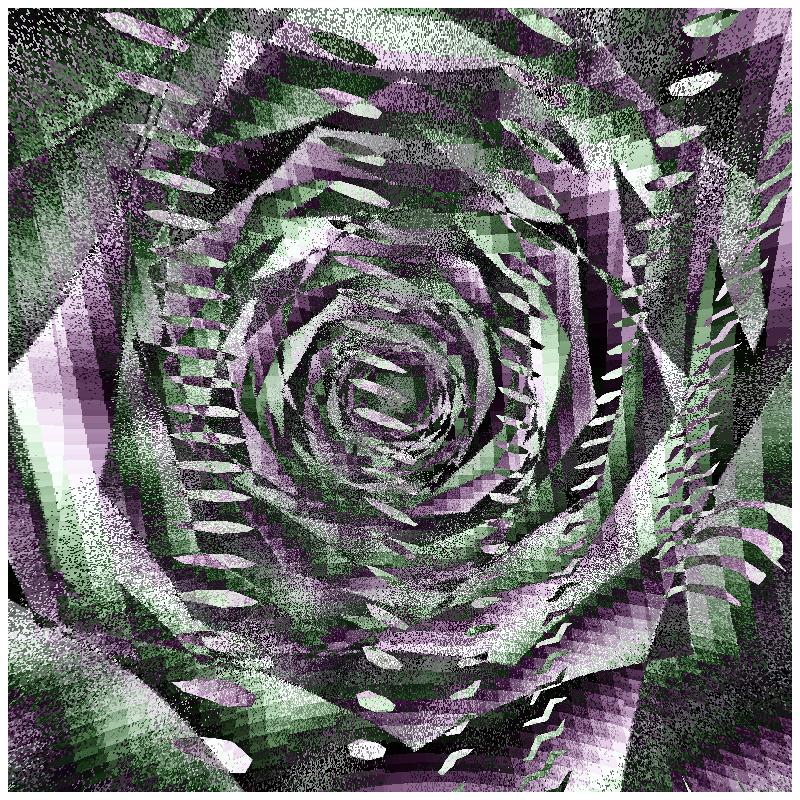 rosette #199