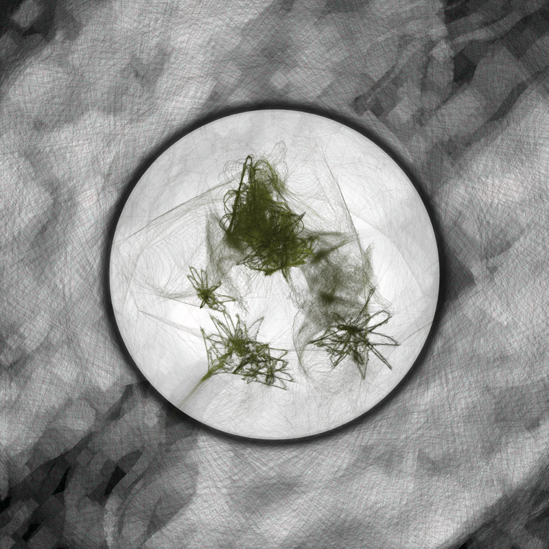 Herbarium Invaders #256