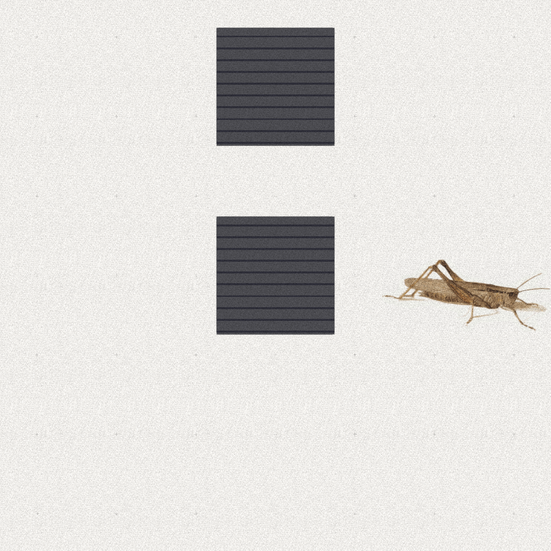 Grasshopper #28