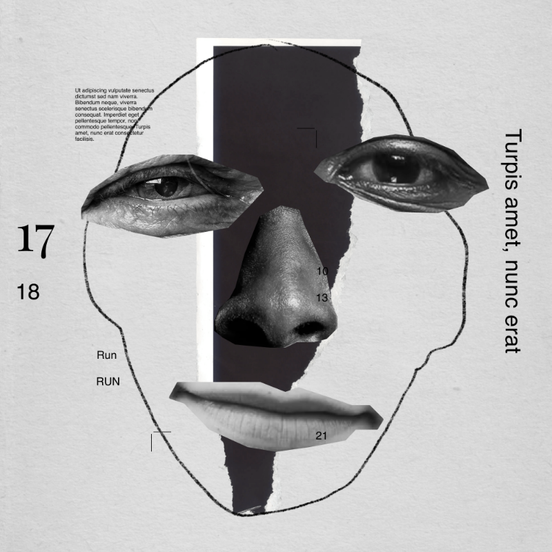 Collage faces #109