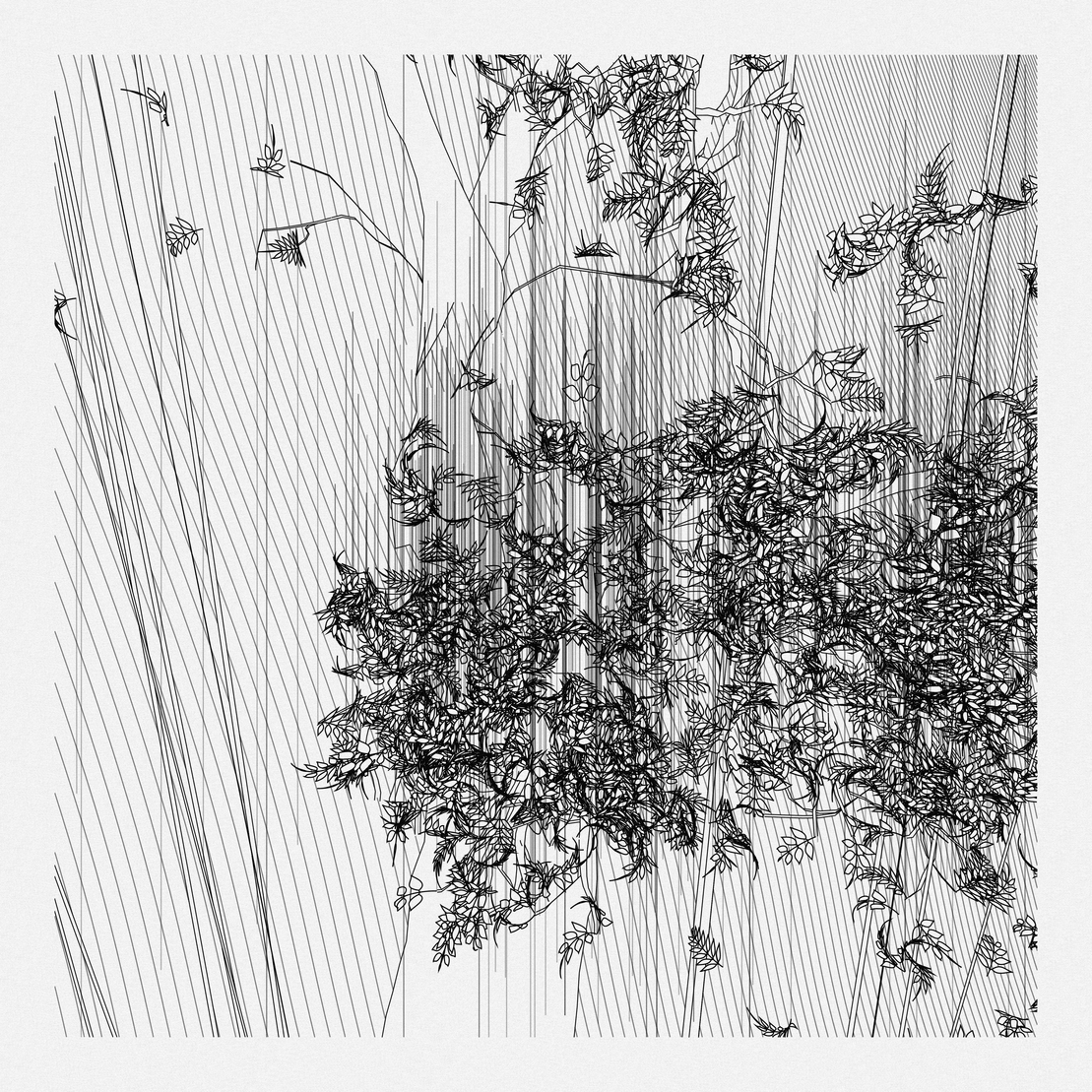 A Bugged Forest #985