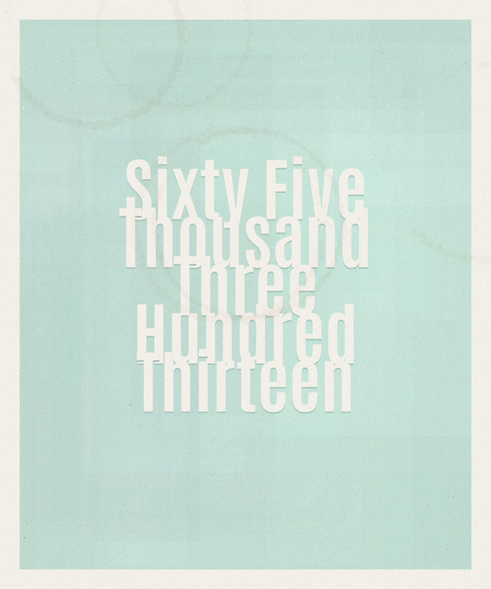 Count #65313