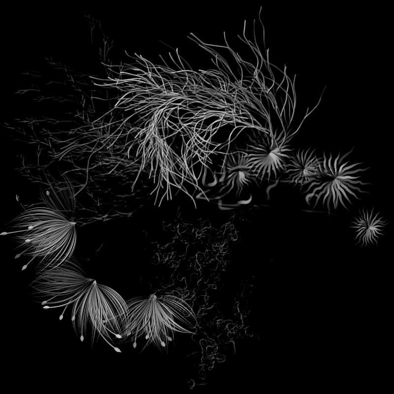 Botanical Ghosts #232