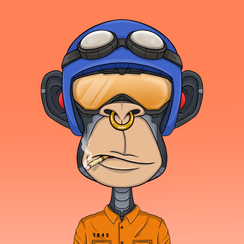 chimpantez #114