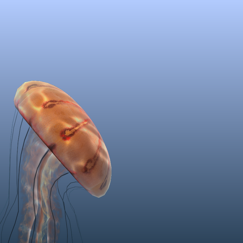 Jellyfish #26