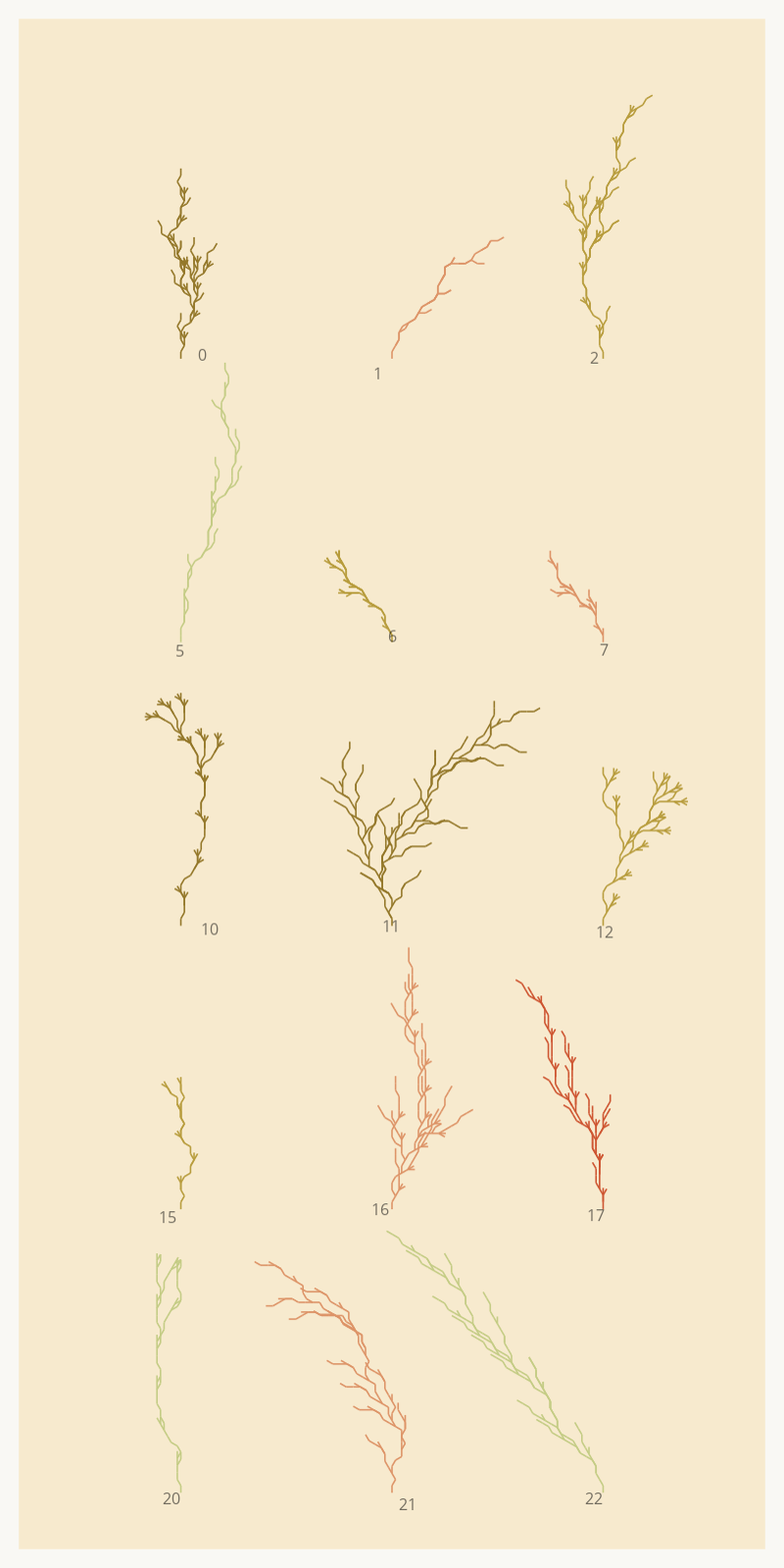 Seaweed Study #8