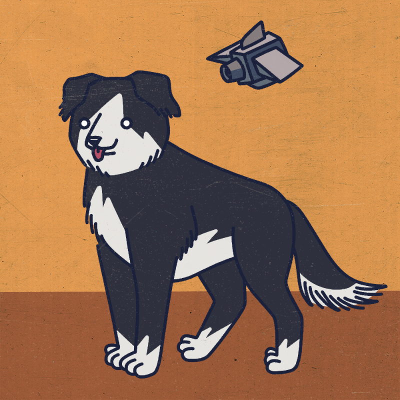 future_dogs #103