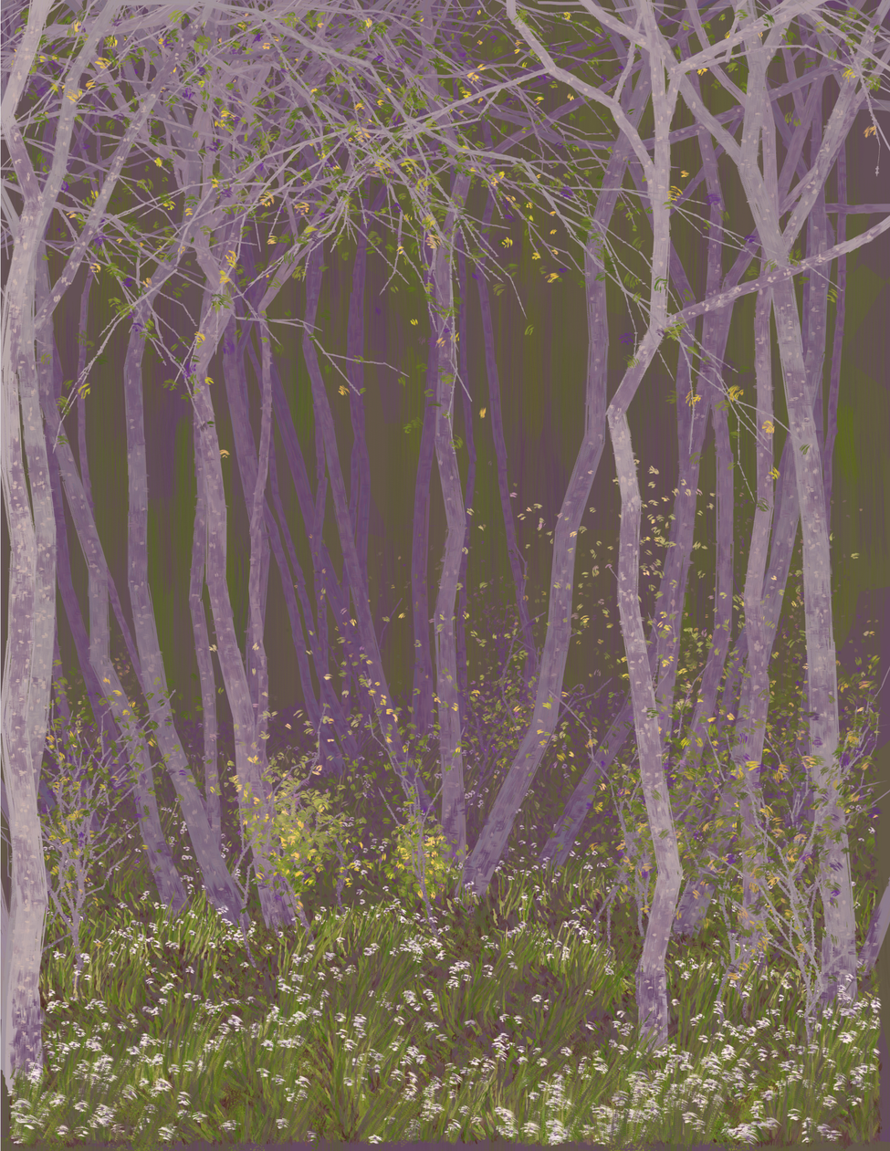 Deep Forest #321