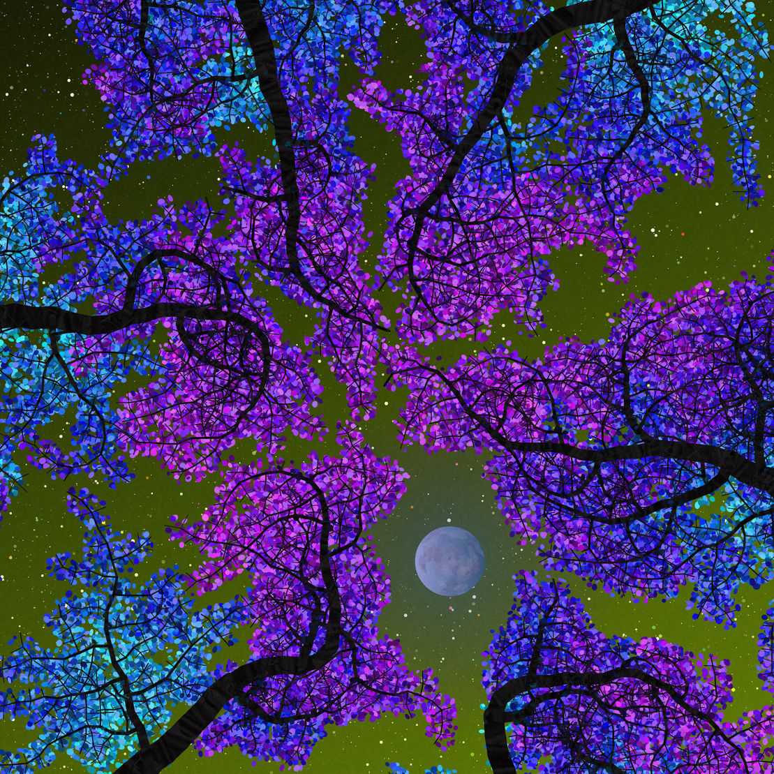 Tree Skyness #85