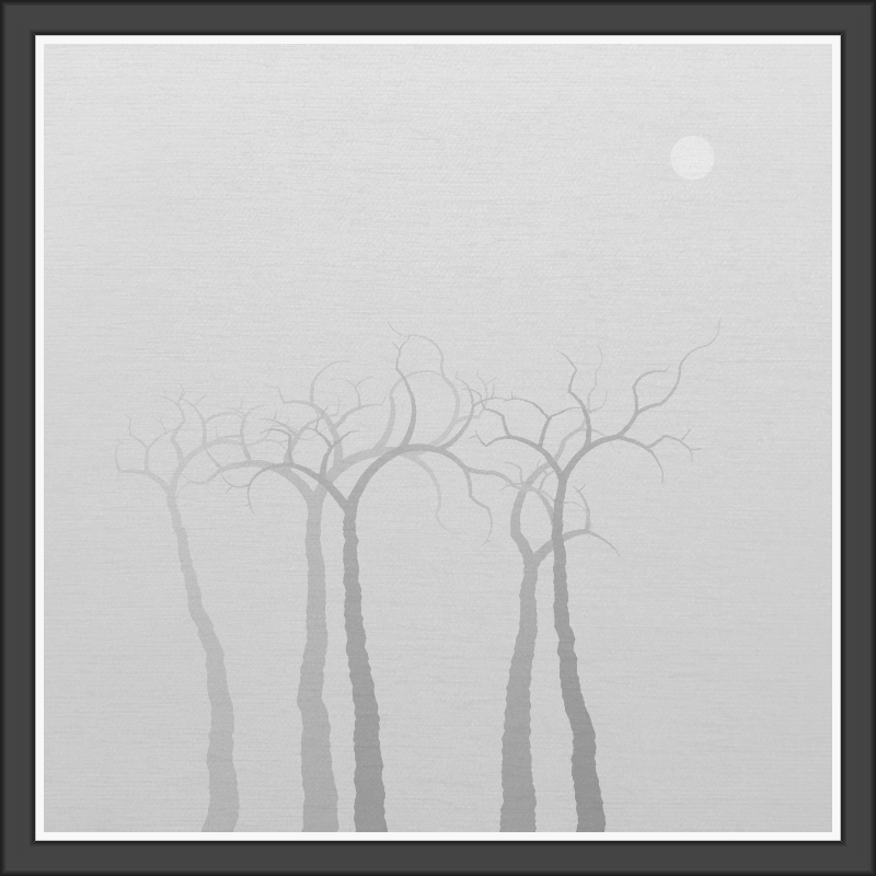 The Foggy Trees #118