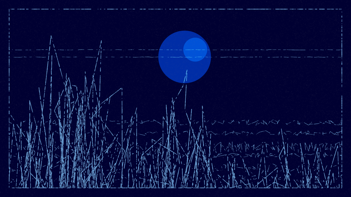 scratches & circles: landscape edition #54