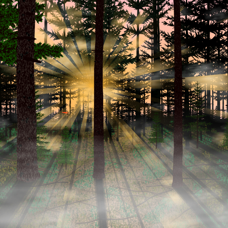 Forest Sunrise #25