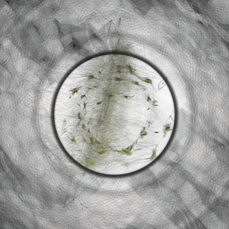 Herbarium Invaders #5